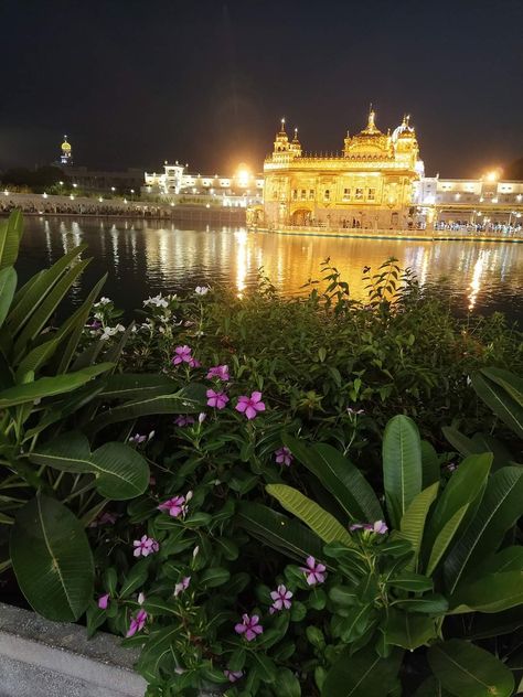 Gurdwara Sahib, Guru Wallpaper, Golden Temple Wallpaper, Guru Nanak Photo, Golden Temple Amritsar, Harmandir Sahib, Green Quotes, Warriors Wallpaper, Guru Pics