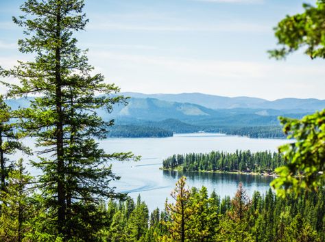 Scenic Overlook, Priest Lake State Park. Photo Credit: Idaho Tourism Priest Lake Idaho, Explore Idaho, Idaho Adventure, Sandpoint Idaho, Northwest Landscaping, Visit Idaho, Idaho Travel, Fall Camping, Fall Hiking