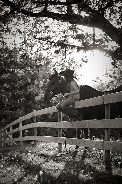 Find the light! ☞ equine :: Salmon Arm Photographer - Andrea Blair Salmon Arm Pet Photographer Horse Senior Pictures, Foto Cowgirl, Pictures With Horses, Country Photography, Pet Photographer, Horse Portrait, Horse Jumping, Wooden Fence, Equine Photography