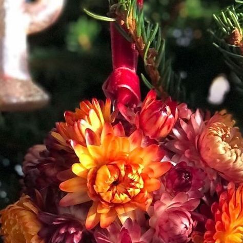 Homes & Gardens on Instagram: "Want to improve your Christmas decor this year? Try these strawflower ornaments, the flowers look like jewels and they elevate your decor to a whole new level! . #homesandgardens #strawflowers #ornaments #christmasdecor" Strawflower Ornaments, The Flowers, Christmas Decor, This Year, Improve Yourself, Christmas Decorations, Home And Garden, Flowers, Christmas