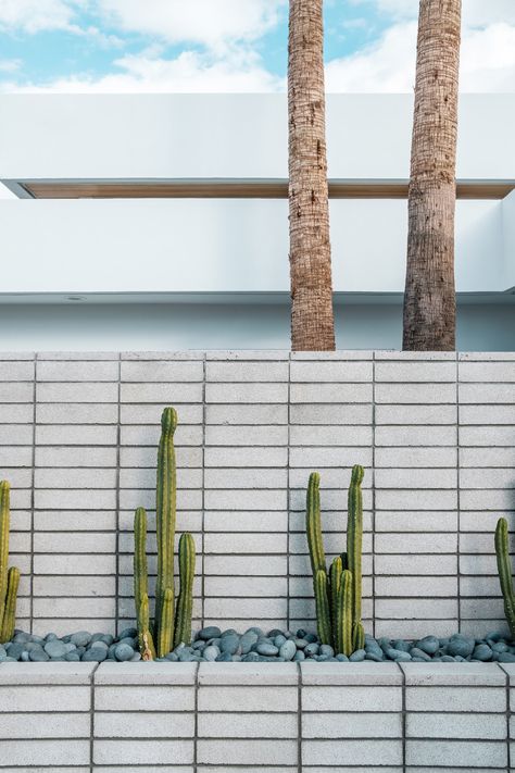 Cactus Cooler, Palm Springs Landscaping, Palm Springs Garden, Modernism Week Palm Springs, Palm Springs Houses, Palm Springs Home, Palm Springs Style, Brick Garden, Pool Landscape Design