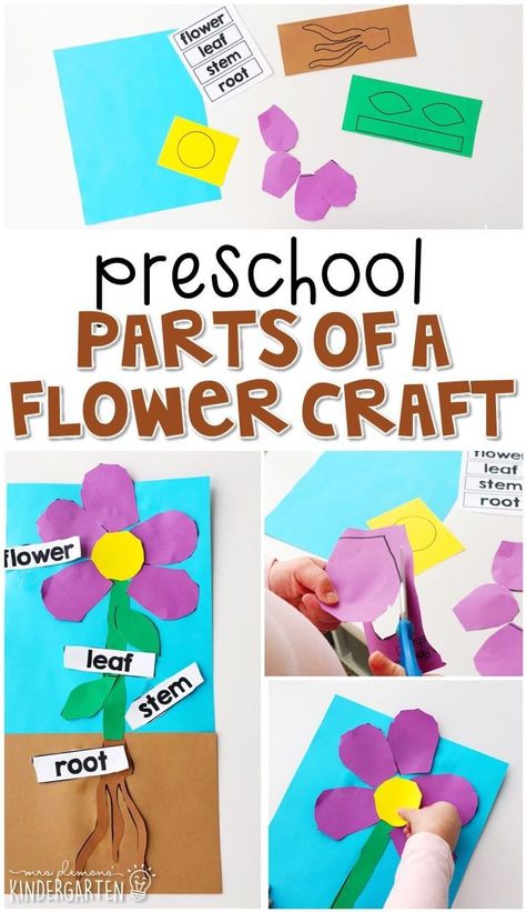 G Activities, Preschool Plants, Letter G Activities, Spring Lesson Plans, Spring Preschool Activities, Spring Themes, Spring Lessons, Preschool Garden, Plant Activities