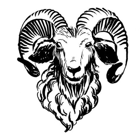 Druva Sarja Photos Hd New, Ram Sheep, Sheep Vector, Sheep Face, Goat Logo, Easy Animal Drawings, Aries Tattoo, Drawing People Faces, Face Illustration