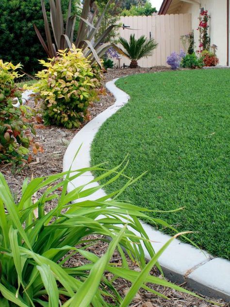 Shade Tolerant Grass, Common Lawn Weeds, Landscaping Architecture, Best Artificial Grass, Lawn Pests, Lawn Food, Cheap Landscaping Ideas, Lawn Design, Types Of Grass