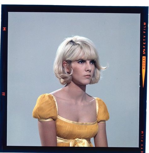 60s Bob, Vintage Bob Hairstyle, Vartan Sylvie, 1960s Hair, 60s Hair, French Bob, Sylvie Vartan, Sixties Fashion, French Girls