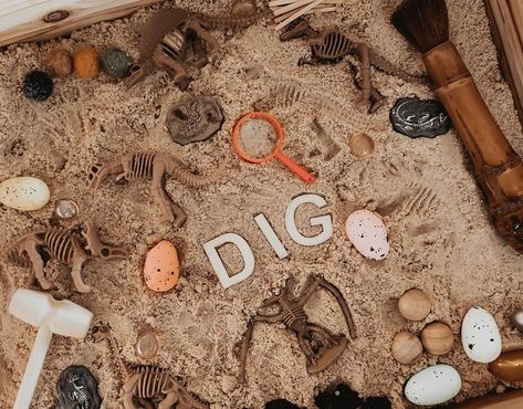 Dino Dig, Cookie Fossil Dig, Fossil Digging Activity, Montessori Play Room, Diy Dinosaur Fossil Dig, Dinosaur Excavation Kit, Dino Fossil Dig, Dinosaur Dig, Dinosaur Activities Preschool