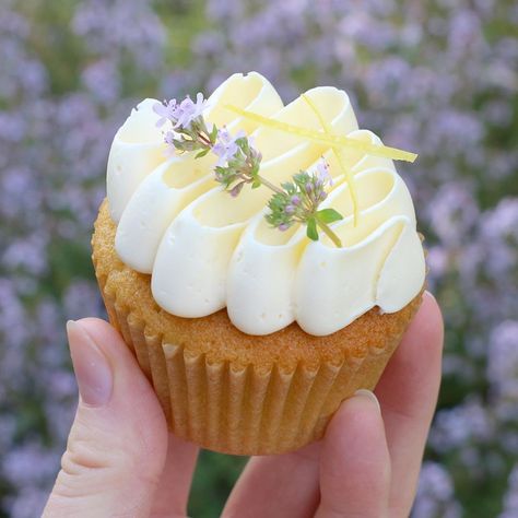 Dainty Bakes on Instagram: “Our thyme plant is looking (and smelling!) wonderful at the moment...and doesn’t it look so pretty sat on top of these lemon curd cupcakes?…” Lemon Curd Cupcakes, Thyme Plant, Lemon Thyme, Food Tech, Cake Decor, Lemon Curd, May 20, Thyme, So Pretty