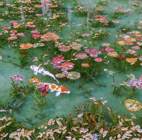 For You Aesthetics on Instagram: “🐠We really want a pond with fish someday 🐠⠀ .⠀ .⠀ .⠀ .⠀ .⠀ .⠀ .⠀ .⠀ .⠀ .⠀ #cottagecore #cottagecoreaesthetic #cottagecorecommunity…” Spring Fairy Aesthetic, Neon Cottagecore, Spring Witch Aesthetic, Spring Witch, 90s Indie, Vibe Aesthetic, Neon Quotes, Spring Fairy, Aesthetic Retro