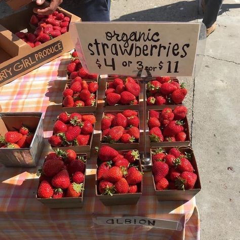 summer strawberry thing theyre so pretty 😭 Summer Wines, Strawberry Fields, Summer Food, Pretty Food, Strawberry Shortcake, Aesthetic Food, Farmers Market, Strawberries, We Heart It