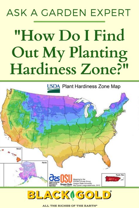 “How do I know what zone I am in for growing specific plants and trees?” Question from Kathy of West Rutland, Vermont #hardiness #planting #zone #map #identification Flower Zones Map U.s. States, Plant Zones Map United States, What Zone Am I In For Planting, Planting Zones Map, Rutland Vermont, Front Yard Flowers, Yard Flowers, Plant Hardiness Zone Map, Northern Florida