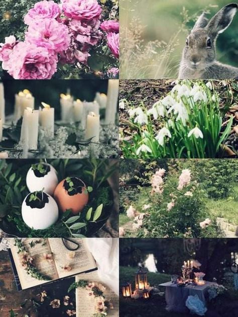 Ostara Art, Ostara Celebration, Witchy Spring, Celebrating Ostara, Happy Ostara, Woods Witch, Futile Devices, Ostara Ritual, Pagan Sabbats