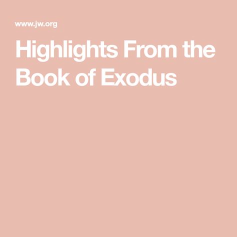 Highlights From the Book of Exodus Summary Of Exodus, The Book Of Exodus, Jen Wilkin, Ten Plagues, Book Of Exodus, Golden Calf, The Tabernacle, The Guilty, Womens Ministry