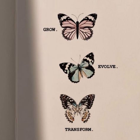 #growth #evolve #transform #quotes #quoteoftheday #quotestoliveby #quotesaboutlife #quotesdaily #quotesgram #quotesforlife #butterfly #butterflyquote #selfcare #selflove #loveyourself #beyou #instagram #explore Grow Evolve Transform Butterfly, Grow Evolve Transform, Butterfly Quote, Butterfly Transformation, Transformation Quotes, I Will Rise, Butterfly Quotes, Grow Strong, Quote Of The Day