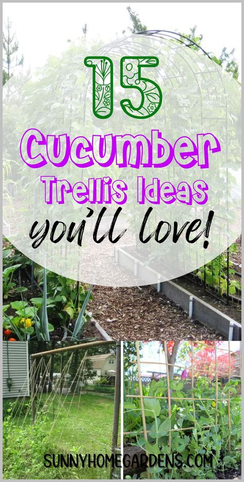 Learn the steps to create a homemade trellis, giving your cucumber vines the perfect structure to climb in your garden. Cucumber Trellis Ideas, Trellis Ideas Garden, Homemade Trellis, Outdoor Trellis Ideas, Growing Cucumbers Vertically, Cucumber Trellis Diy, Bean Trellis, Teepee Trellis, Vegetable Trellis