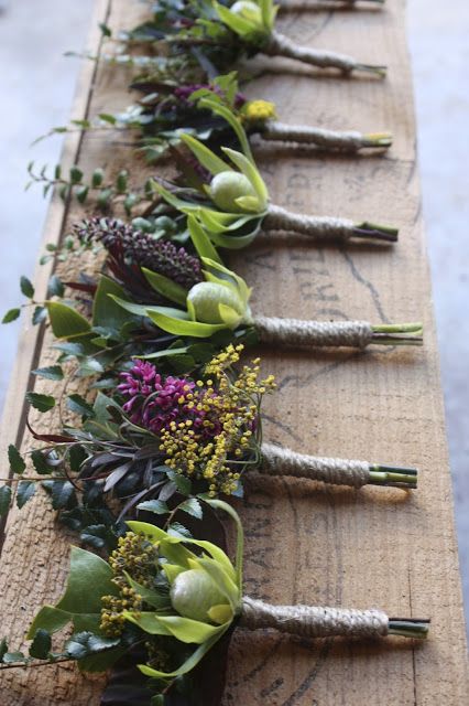 Native Wedding, Cradle Mountain, Australian Native Flowers, Native Flowers, Birds Nest, Australian Native, Swallows, Forest Wedding, Bird Nest