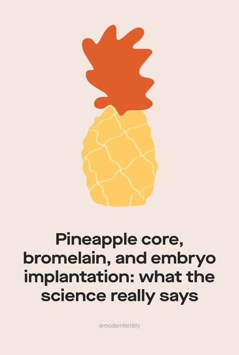 Modern Fertility, Embryo Implantation, Pineapple Core, Fertility Quotes, Eating Pineapple, Frozen Embryo Transfer, Pineapple Benefits, Embryo Transfer, Fruit Picking