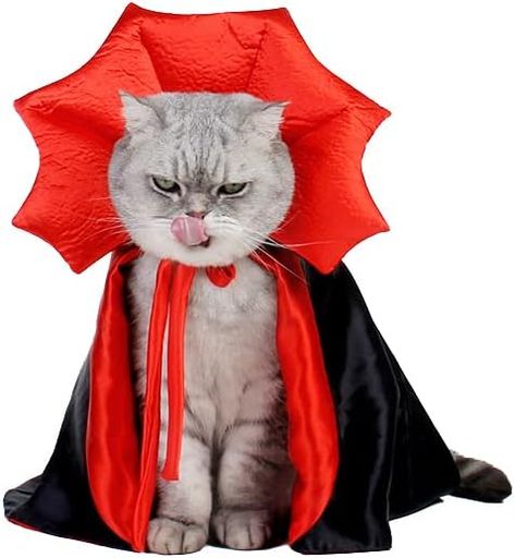 Vampire Cloak, Funny Pet Costumes, Halloween Capes, Kostum Halloween, Vampire Cat, Puppy Costume, Cat Cosplay, Spooky Costumes, Chat Halloween