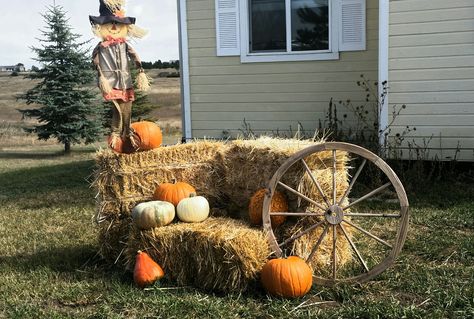 Straw Bale Decor Fall, Fall Hay Bale Display, Fall Yard Displays, Decorated Hay Bales, Hay Bale Fall Decor, Hay Bale Fall, Hay Bale Ideas, Fall Yard Decor, Halloween Gender Reveal