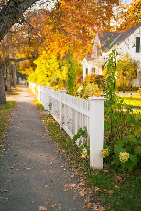 A Three-Day Itinerary to the Best of Fall in Vermont - Journal | Monica Francis Design Vermont In The Fall, Fall In Vermont, Foliage Photography, Fall Foliage Road Trips, Vermont Fall, Long Weekend Getaways, East Coast Road Trip, Leaf Peeping, New England Fall