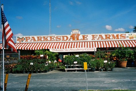 Parkesdale Farm Market, Plant City: See 182 reviews, articles, and 37 photos of Parkesdale Farm Market, ranked No.1 on TripAdvisor among 17 attractions in Plant City. Winter Springs Florida, Dade City Florida, Plant City Florida, Charleston Vacation, Florida Attractions, Strawberry Festival, Plant City, Florida Lifestyle, Florida Girl