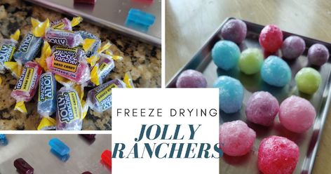 Learn how to freeze dry jolly ranchers and make delicious treats. Freeze Dried Jolly Ranchers, Skittles Recipes, Jolly Rancher Hard Candy, Harvest Right Freeze Dryer, Jolly Ranchers, Jam Recipes Homemade, Freeze Drying Food, Jolly Rancher, Homemade Jam