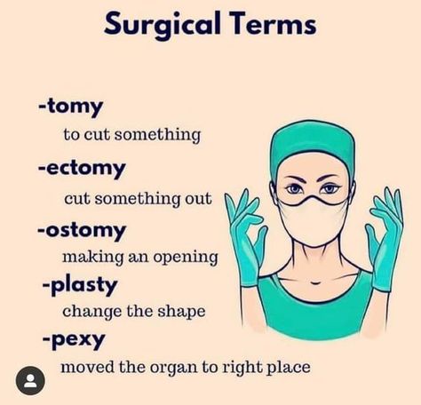 Surgical Terms, Medical Terminology Study, Medical Assistant Student, Nursing School Essential, Kedokteran Gigi, Organizator Grafic, Medical School Life, Nursing School Motivation, Basic Anatomy And Physiology