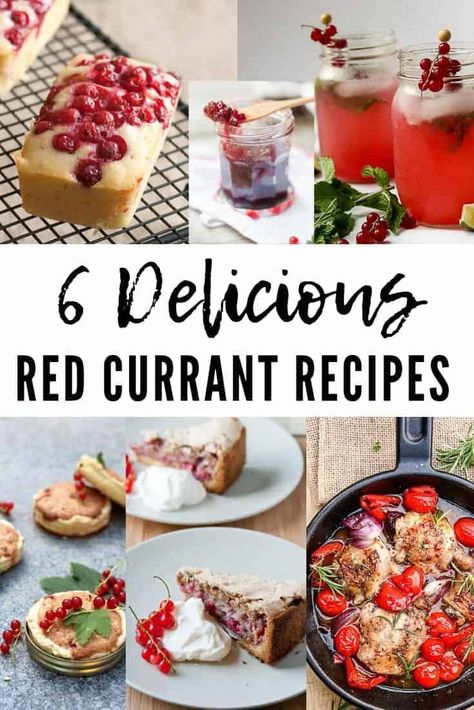 Sweet, sour and tart, these small fruits can be used in different ways. Here are 6 great recipes to enjoy them a little longer in a dessert, glass or meal! #redcurrant #sour #recipes #meringue Red Currant Recipes, Red Currant Recipe, Sour Recipes, Red Currant Jam, Currant Recipes, Red Currants, Produce Recipes, Sour Fruit, Mini Tart