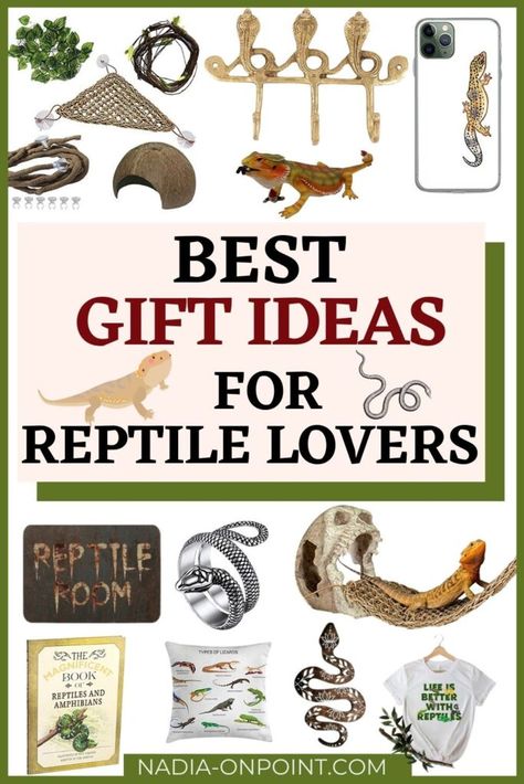 Best Gifts for Reptile Lovers Gifts For Reptile Lovers, Snake Gift, Gifts For Animal Lovers, Frugal Christmas, Last Minute Birthday Gifts, Non Toy Gifts, Snake Lovers, Best Gift Ideas, Presents For Kids