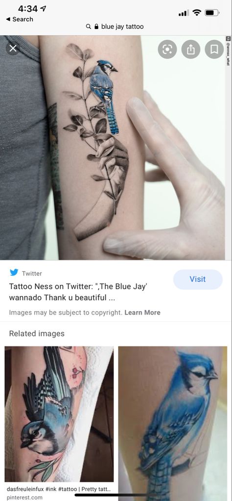 Blue Bird Feather Tattoo, Bluejay Tattoo Black And White, Blue Jays Tattoo, Blue Jay Tattoo Black And White, Blue Bird Tattoos For Women, Jay Bird Tattoo, Momma Tattoo, Bluejay Tattoo, Blue Jay Tattoo