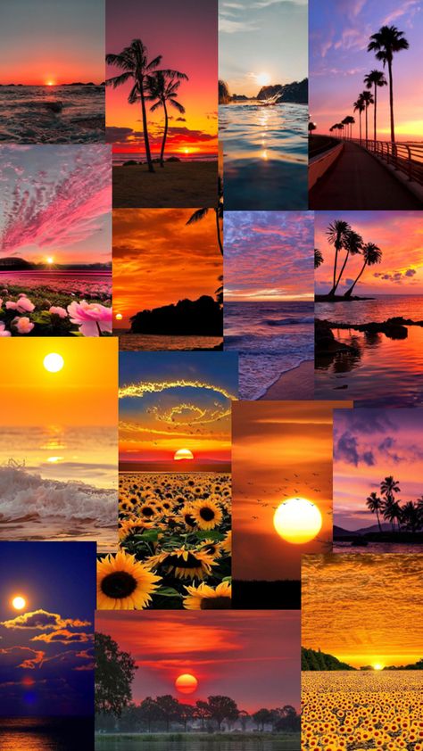 I love sunsets they revitalise me , my would Beachy Wallpaper, Cute Sunset, Ocean Art Painting, Phone Background Wallpaper, Sunset Vibes, Beautiful Ocean Pictures, Ocean Pictures, Sky Pictures, Nature View