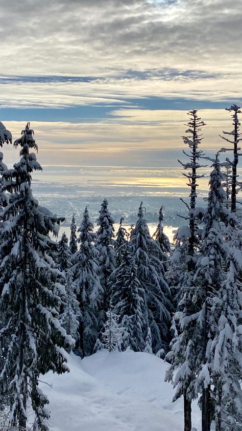 Partly cloudy sky. Sunset. Looking over Vancouver at the top of a mountain. Many trees covered in snow. Winter In Vancouver, Snowing Aesthetic Wallpaper, Aesthetic Skyline, Top Of Mountain, Canada Mountains, Canada Snow, Sunset Trees, Snow Aesthetic, Mountain Aesthetic