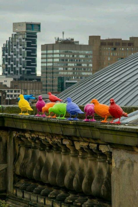 Patrick Murphy, Sculpture Installation, Outdoor Art, Over The Rainbow, Land Art, Urban Chic, The Roof, Public Art, Urban Art