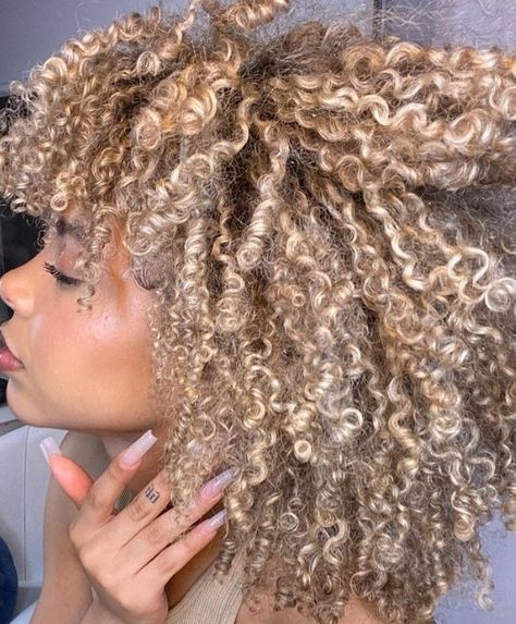 Ashy Blonde Natural Hair, Blonde Hair Curly Natural Black Women, Honey Blonde Hair On Black Women Curls, Dyed Curly Hair Ideas Colour Blond, Natural Hair Blonde Highlights, Afro Blonde Hair, Mixed Girl Blonde Hair, Honey Blonde Curly Hair Black Women, Ash Blonde Natural Hair Black Women