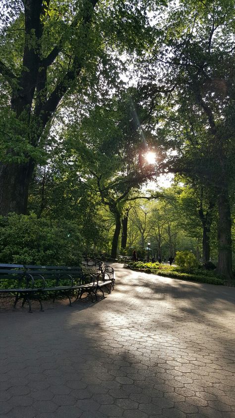 Central Park Bench, Trail Aesthetic, Central Park Aesthetic, Central Park Nyc, Nyc Park, Park Pictures, After Running, Pretty Landscapes, Nature Aesthetic