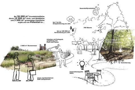 Innovation Campus DSM by Bryum — Landscape Architecture Platform | Landezine Editorial Design Magazine, Landscape Architecture Graphics, Urban Island, Landscape Design Drawings, Conceptual Drawing, Architecture Concept Diagram, Graphics Layout, Architecture Graphics, Landscape Design Plans