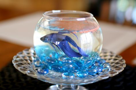 Fish Centerpiece, Sweet 16 Centerpieces, Budget Birthday, Sea Baby Shower, Sea Wedding, Homemade Wedding, Mermaid Baby Showers, Under The Sea Theme, Beach Wedding Favors