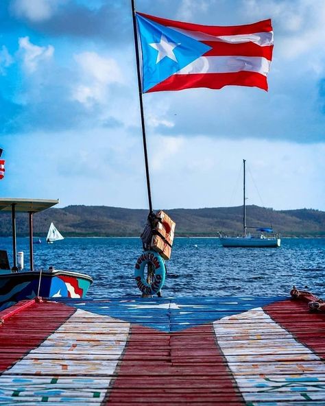 Turisteando en Puerto Rico 🇵🇷 on Instagram: “Cabo Rojo 😍🇵🇷 . . Foto por  @amadorphotographyy • . . . . . . . . ... ..... #placespr  #hashtagpuertorico #hashtagpr  #boricua #tiratepr…” Nyc Pics, El Yunque Rainforest, Visit Romania, Puerto Rico Art, Puerto Rican Flag, Puerto Rican Pride, Puerto Rican Culture, Puerto Rico Flag, Famous Places