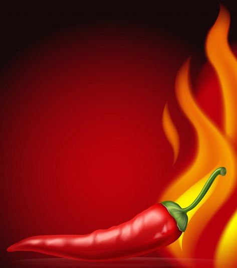 Hot chili with burning fire Premium Vect... | Premium Vector #Freepik #vector #background #food #design #texture Spices Vector, Homemade Recipe Books, Elegant Wedding Invitation Card, Types Of Herbs, Burning Fire, Free Vector Illustration, Chili Paste, Leaf Drawing, Hot Spicy