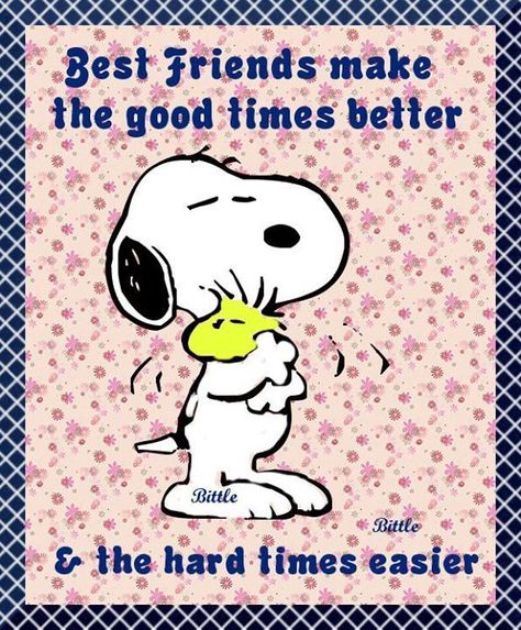 Snoopy Memes, Ernie Und Bert, Charlie Brown Quotes, Peanut Gang, Snoopy Cartoon, Snoopy Funny, Snoopy Images, Peanuts Cartoon, Snoopy Quotes