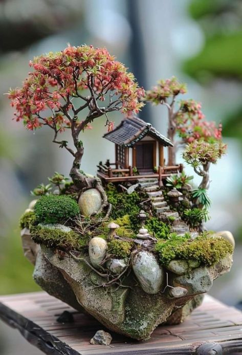 Japan Garden Zen, Miniature Garden Design, Rock Garden Ideas, Small Garden Ideas, Fairy House Crafts, Dreamy Garden, Beautiful Terrariums, Tiny Garden, Fairy Garden Designs