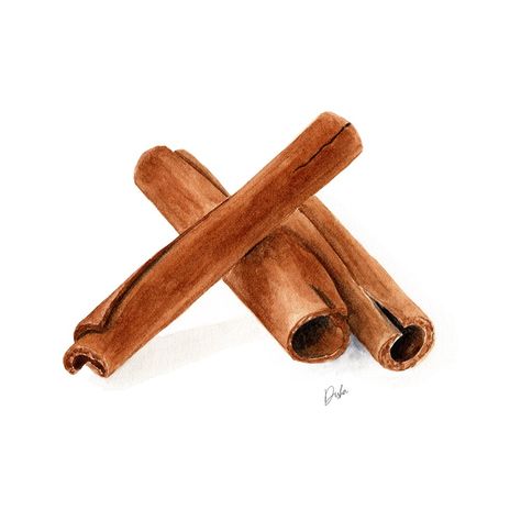 Cinnamon Stick Illustration, Cinnamon Drawing, Cinnamon Illustration, Sugar Illustration, Spices Illustration, Cinnamon Food, Homemade Recipe Books, Food Illustration Design, Food Art Painting