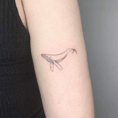 Minke Whale Tattoo, Blue Whale Tattoo Small, Fineline Whale Tattoo, Minimal Whale Tattoo, Gray Whale Tattoo, Whale 52 Tattoo, Whale Tattoo Arm, Fine Line Whale Tattoo, Whale Tattoo Minimalist