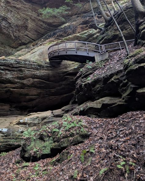 No More Dry Ground A week of filling, refreshing, stretching, clarity, and most of all fellowship and love. 1. Cliffs Lodge in Hocking Hills, Ohio. The place where we lodged and where God met us. 2. At Hocking Hills State Park, an unbelievably beautiful combination of rock formations, waterfalls and hiking trails that got this body moving! 😮‍💨 3. With my friend and business accountability partner @the_art_of_loving_me Theresa Beason. So grateful for our bond and commitment to walk this jo... Hocking Hills Ohio, Hocking Hills State Park, Hocking Hills, Accountability Partner, Rock Formations, So Grateful, State Park, Hiking Trails, My Friend