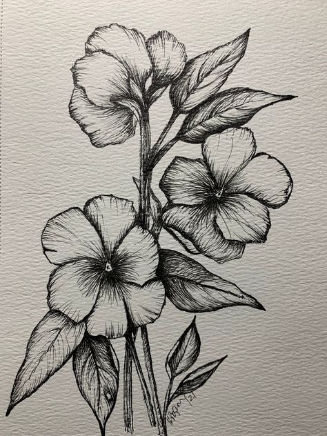 Panseys Flower Drawing, Ink Drawing Flowers, Art Sketches Pen, Pen And Ink Drawings Simple, Pen Drawing Flower, Cool Pen Drawings, Things To Draw With Pen, Drawing Ideas With Pen, Sketches In Pen