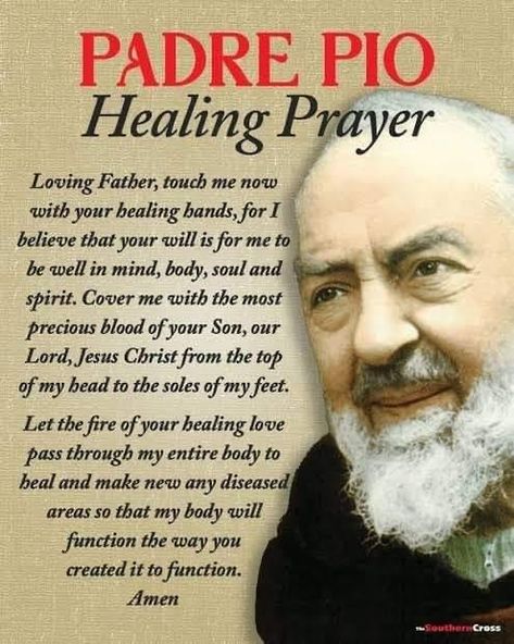 Padre Pio Prayer, Catholic Saints Prayers, Catholic Prayers Daily, St Padre Pio, Prayers Of Encouragement, Healing Prayer, Novena Prayers, Spiritual Prayers, Miracle Prayer