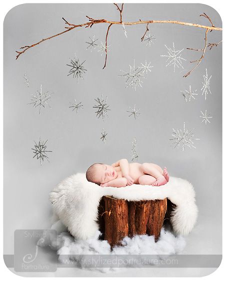 What a cute winter idea! Toddler Christmas Pictures, Winter Newborn, Baby Poses, Back Ground, Foto Baby, Christmas Photography, Toddler Christmas, Newborn Photoshoot, Newborn Pictures