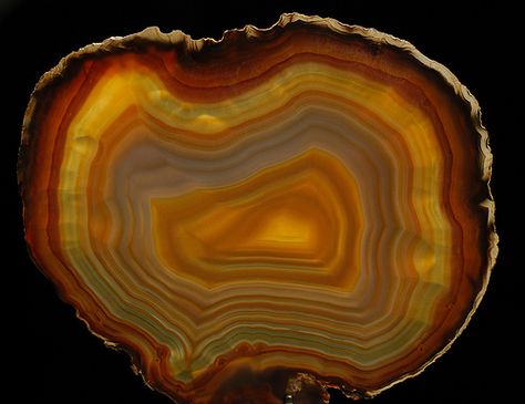 Brazilian Agate slab by Wood's Stoneworks and Photo Factory, via Flickr Bismuth Crystal, Brazilian Agate, Pretty Rocks, Minerals And Gemstones, Rocks And Gems, Gems And Minerals, Stone Rocks, Crystal Gems, Crystals Minerals