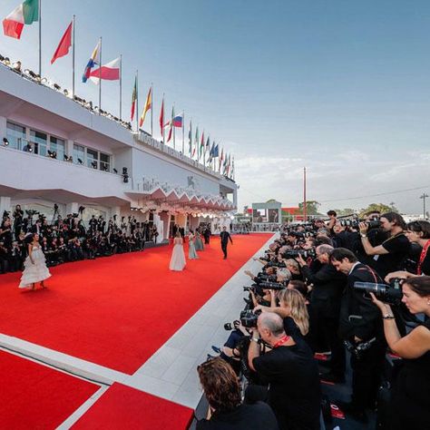 Red Carpet Aesthetic, Festival Cinema, Best Short Films, Tim Robbins, Donald Sutherland, Roman Polanski, Foreign Film, Festival Inspiration, Best Director