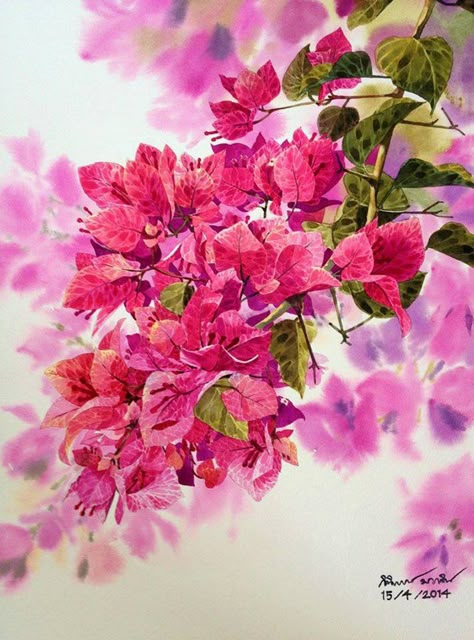 Watercolour Flowers, Water Colours, Watercolor Flower Art, Watercolor Flowers Paintings, Watercolor Art Lessons, Flower Art Painting, Bougainvillea, Water Colour, Watercolor Landscape