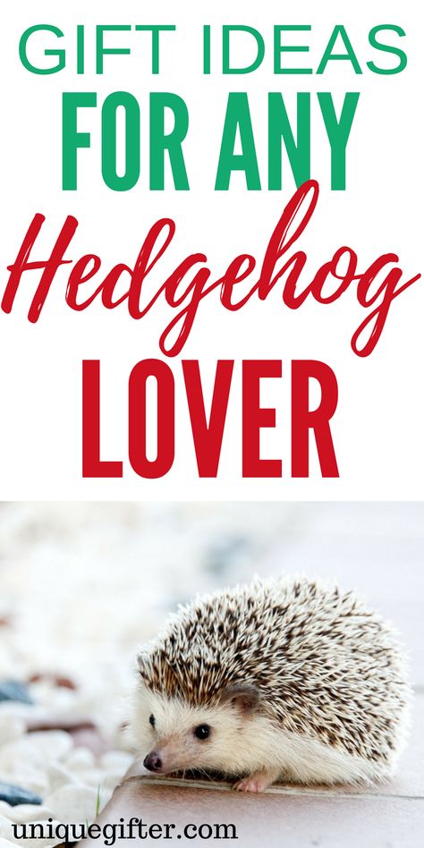 Hedgehog pillow, tote bag (living on the hedge), and mug (looking sharp) Hedgehog Pillow, Ideas For Birthday Presents, Birthday Presents For Boyfriend, Birthday Present For Boyfriend, Hedgehog Christmas, Hedgehog Gifts, Hedgehog Pet, Superhero Gifts, Christmas Gifts To Make